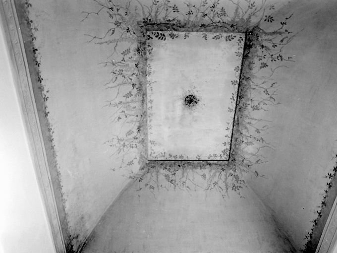 motivo decorativo floreale (dipinto) di Flora Agesilao (sec. XX)