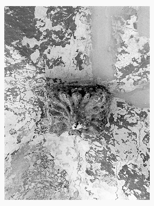 chiave di volta - ambito salentino (sec. XVI)