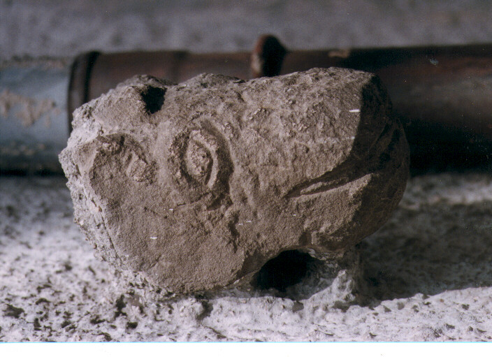 testa zoomorfa (scultura) - ambito Italia meridionale (secc. XIII/ XVI)