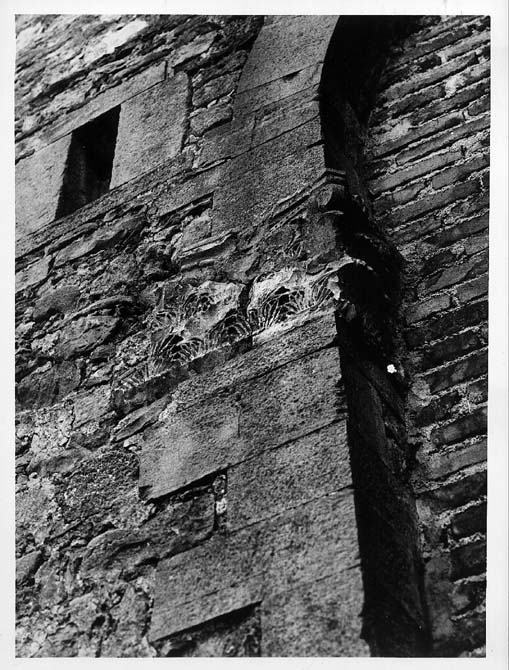 capitello corinzio - ambito pugliese (secc. XI/ XII)