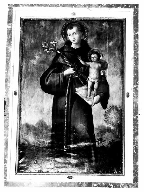 Sant'Antonio da Padova (dipinto) - ambito pugliese (secc. XVI/ XVII)