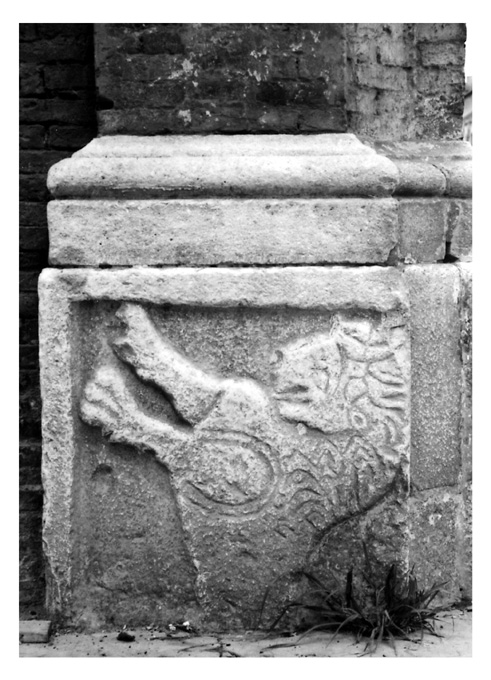 leone (rilievo, frammento) - ambito bizantino-albanese (sec. XI)