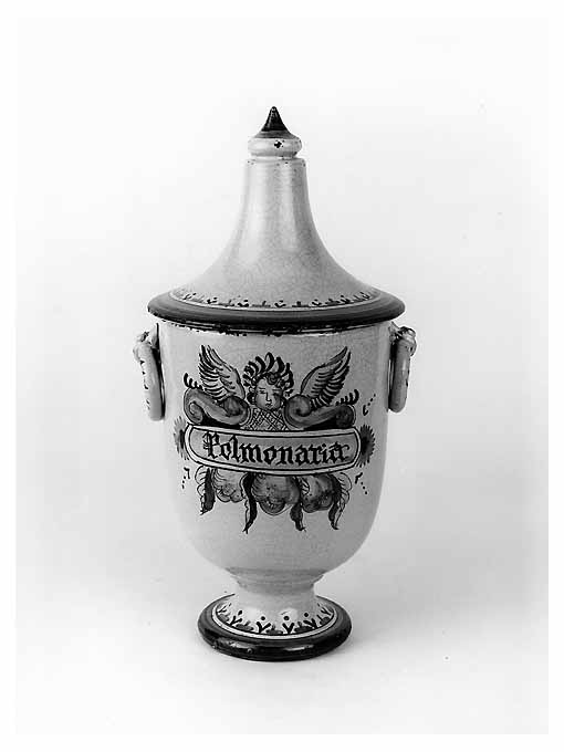 vaso da farmacia - manifattura Italia meridionale (sec. XVII)