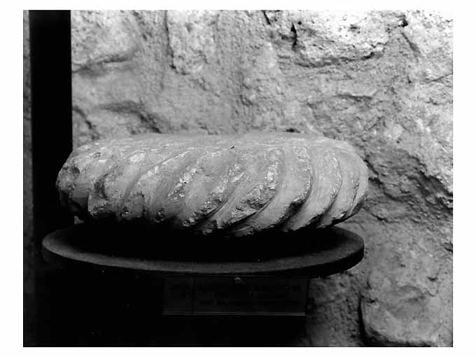 decorazione plastica, elemento d'insieme - ambito pugliese (secc. XII/ XIII)