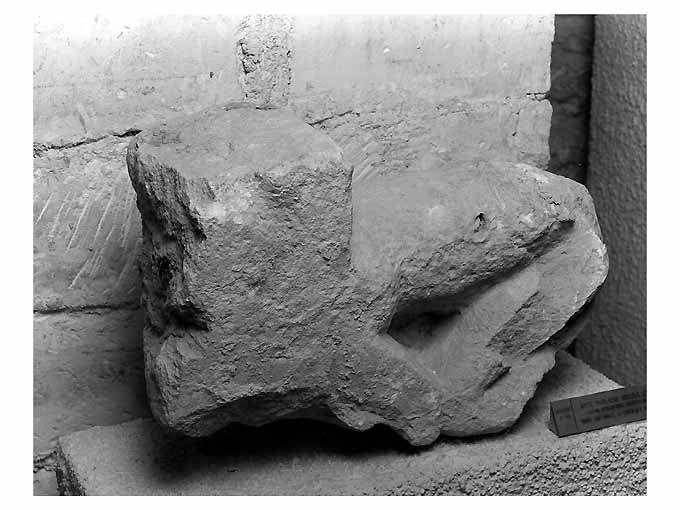 leone stiloforo (scultura, frammento) - ambito pugliese (secc. XII/ XIII)