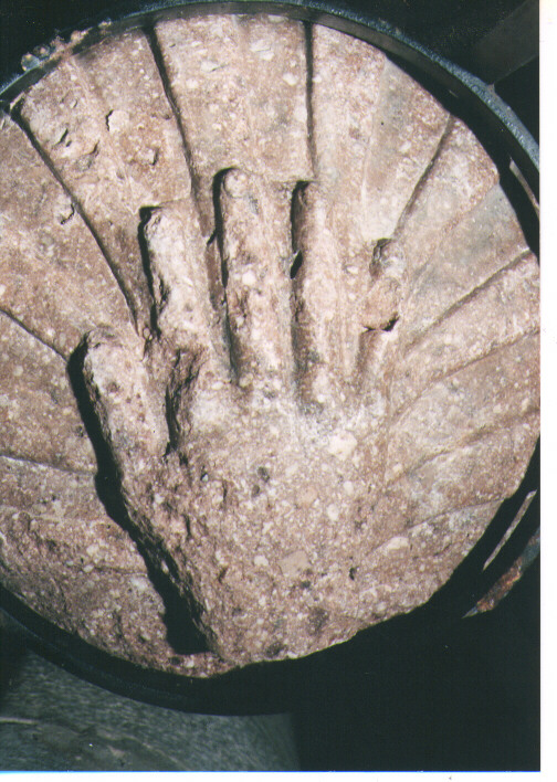 acquasantiera - a conchiglia - ambito Italia meridionale (prima metà sec. XVII)