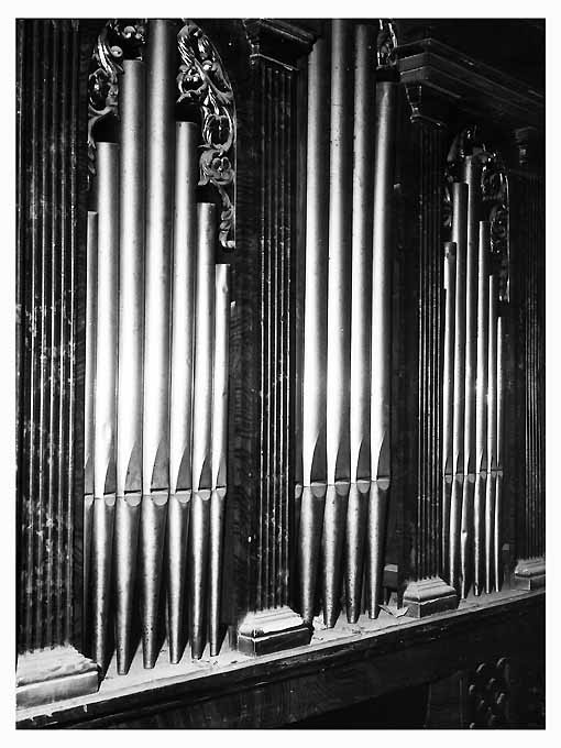 organo positivo di Petrucci Vincenzo (sec. XIX)