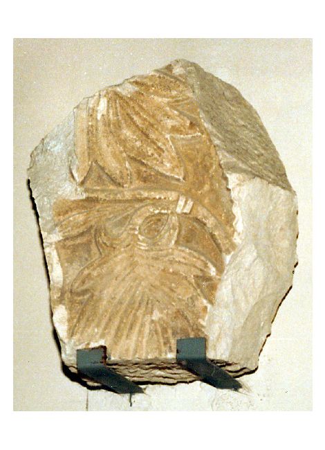 archivolto, frammento - manifattura campana (sec. X)