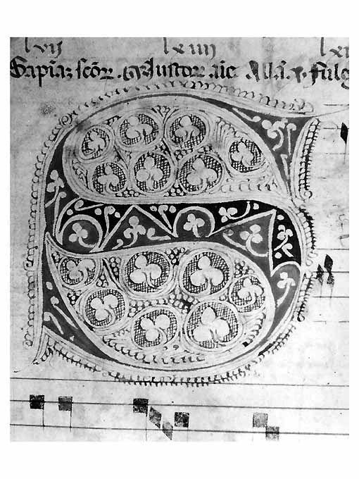 miniatura - ambito Italia meridionale (secc. XV/ XVI)