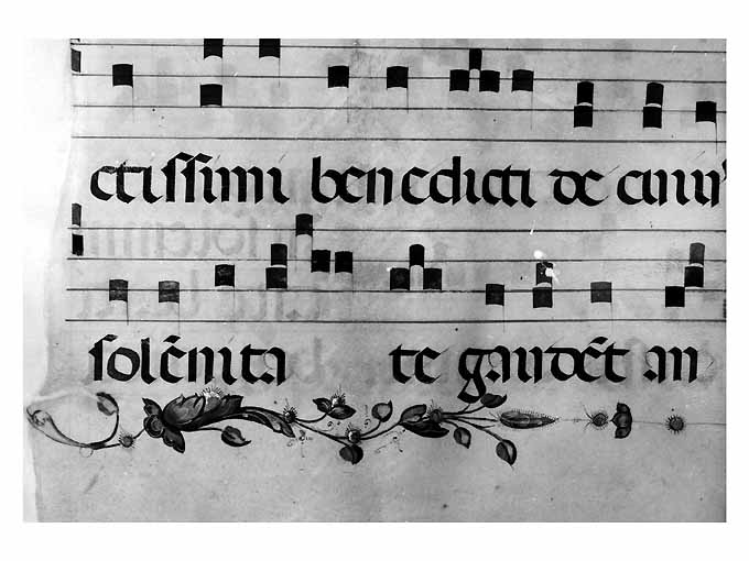 motivo decorativo floreale (miniatura, frammento) - ambito Italia meridionale (secc. XV/ XVI)