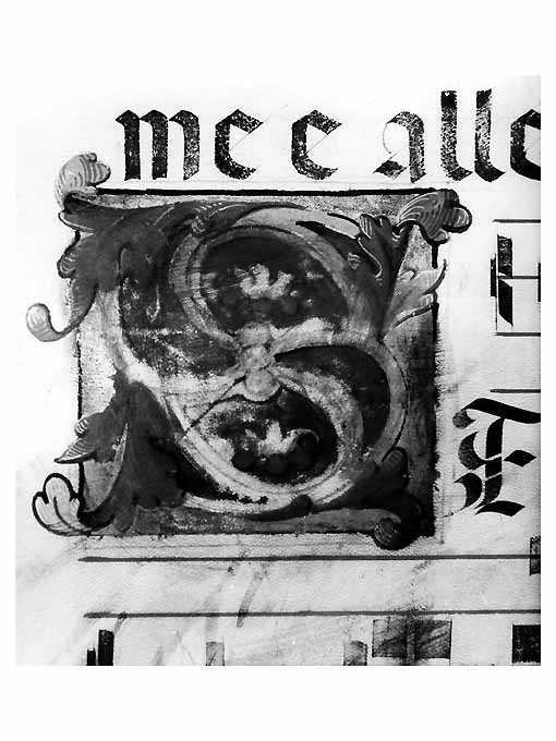 miniatura - ambito Italia meridionale (secc. XV/ XVI)