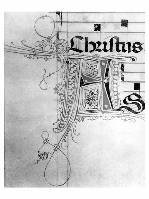 miniatura - ambito Italia meridionale (secc. XV/ XVI)