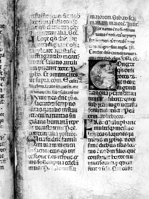 Lettera C con raffigurazione della Nativita' (miniatura) - ambito umbro (fine sec. XIII)