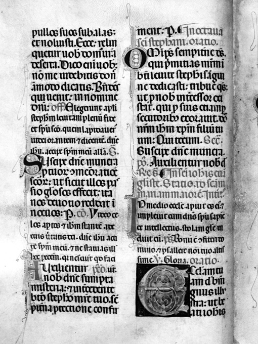 Lettera C (miniatura) - ambito umbro (fine sec. XIII)