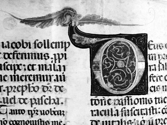 Lettera D (miniatura) - ambito umbro (fine sec. XIII)