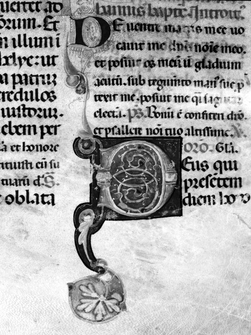 Lettera D (miniatura) - ambito umbro (fine sec. XIII)