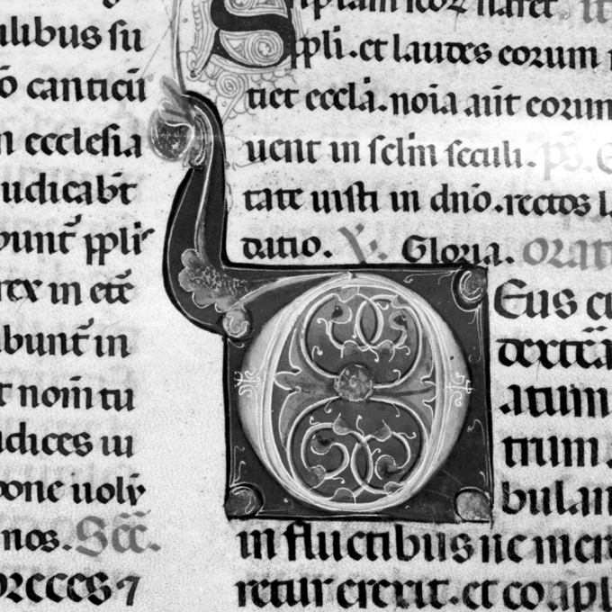 Lettera D (miniatura) - ambito umbro (fine sec. XIII)