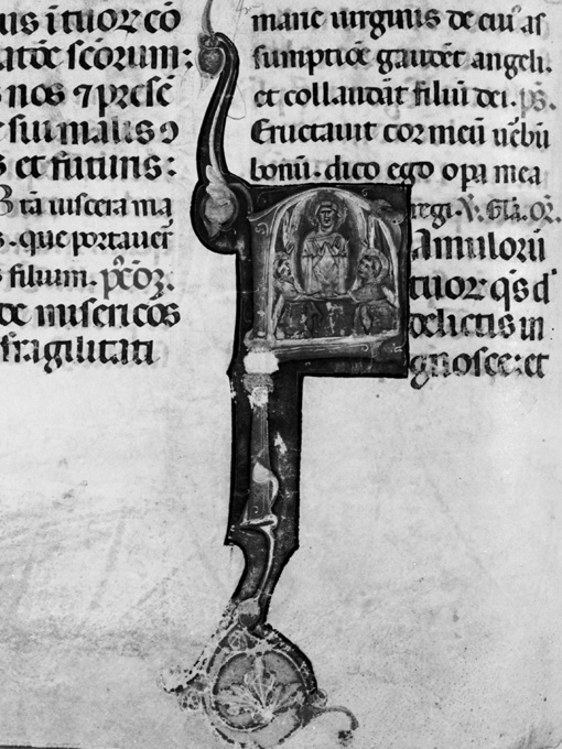 Lettera F (miniatura) - ambito umbro (fine sec. XIII)