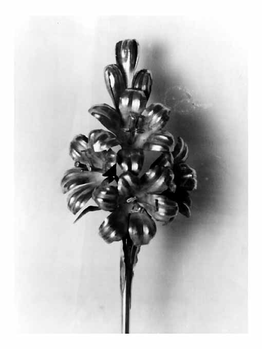 giglio (addobbo di immagine sacra, frammento) - ambito pugliese (seconda metà sec. XIX)