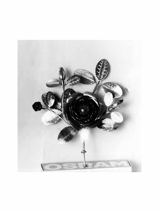 rosa (addobbo di immagine sacra, frammento) - ambito pugliese (sec. XIX)