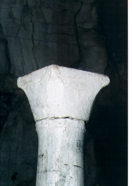 capitello, serie - ambito Italia meridionale (secc. XI/ XII)