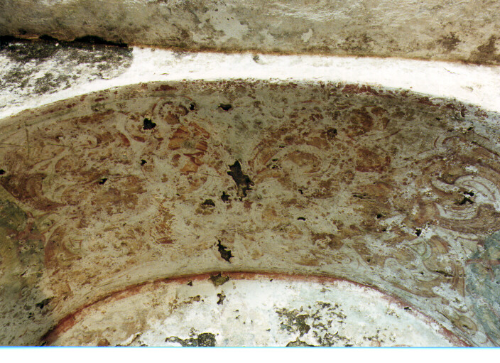 motivi decorativi vegetali (dipinto) - ambito salentino (seconda metà sec. XVII)