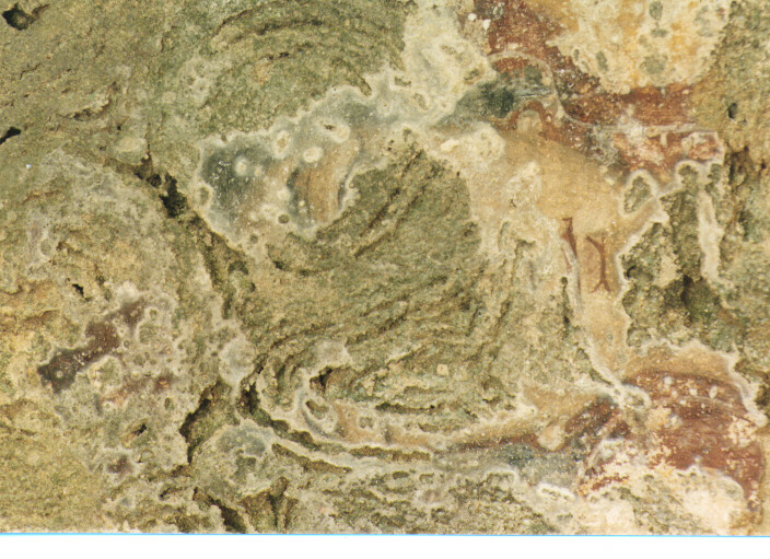 figura femminile (dipinto) - ambito Italia meridionale (sec. XIII)