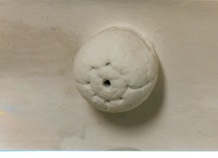 chiave di volta - ambito salentino (sec. XVIII)