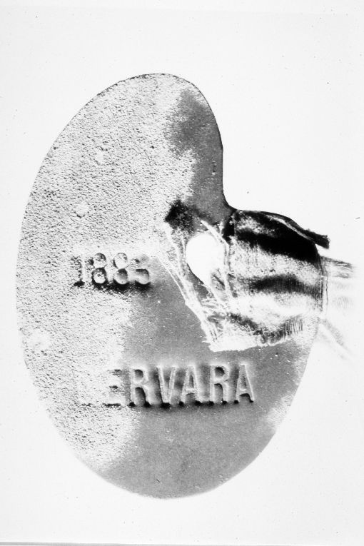 medaglia - ambito italiano (sec. XIX)