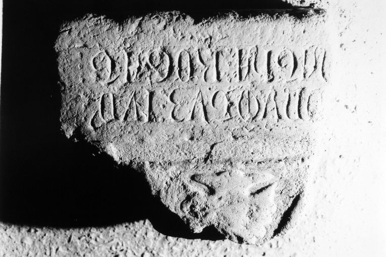 stemma (lastra tombale, frammento) - ambito pugliese (sec. XIV)