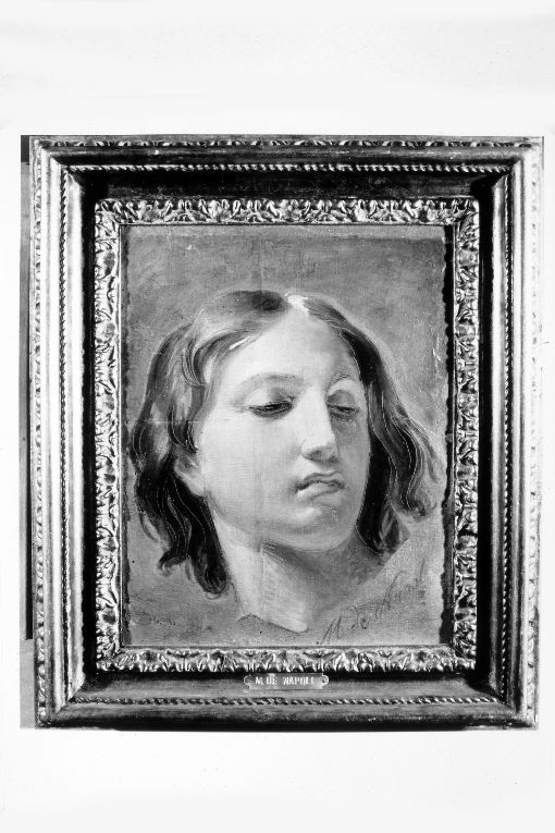 testa virile (dipinto) di De Napoli Michele (sec. XIX)
