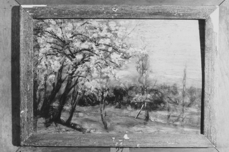 paesaggio con alberi (dipinto) di De Stefano Vincenzo (secc. XIX/ XX)