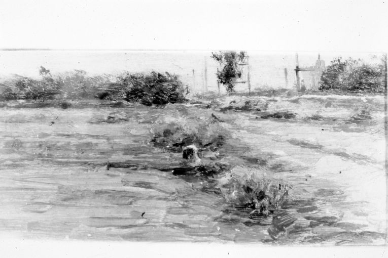 paesaggio rurale (dipinto) di De Stefano Vincenzo (secc. XIX/ XX)