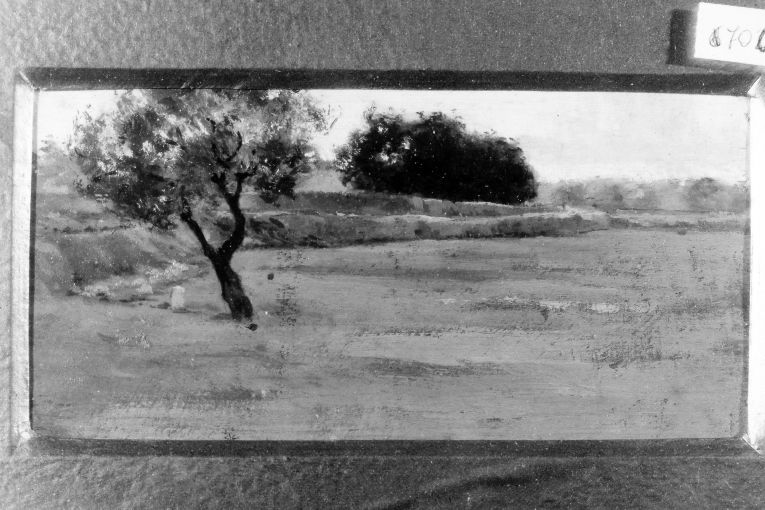 paesaggio con alberi (dipinto) di De Stefano Vincenzo (secc. XIX/ XX)