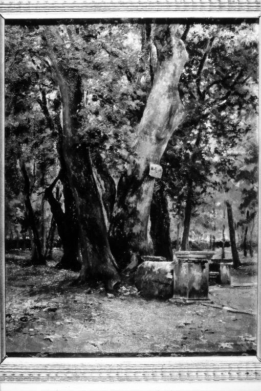 paesaggio con alberi (dipinto) di Girondi Raffaele (secc. XIX/ XX)