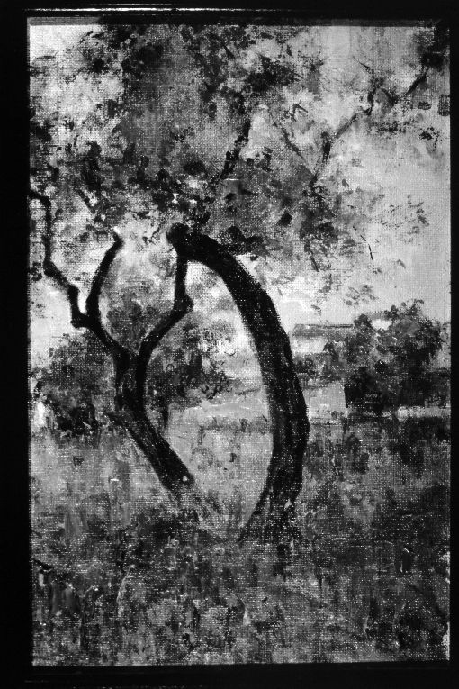ulivi, paesaggio con alberi (dipinto) di Girondi Raffaele (secc. XIX/ XX)