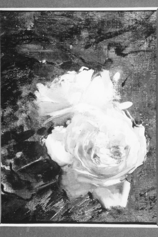 Rose (dipinto) di Postiglione Luca (secc. XIX/ XX)