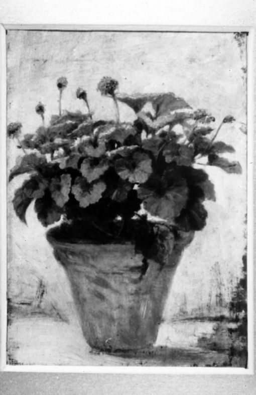 Vaso di gerani, Vaso di fiori (dipinto) di Toma Gioacchino (sec. XIX)