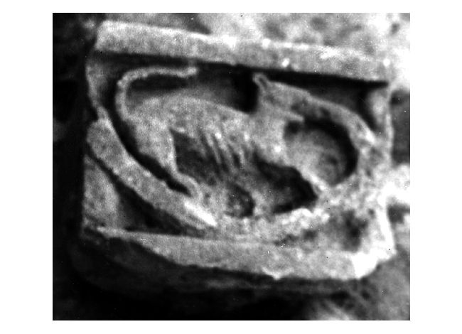 decorazione plastica, frammento - ambito pugliese (sec. XIII)