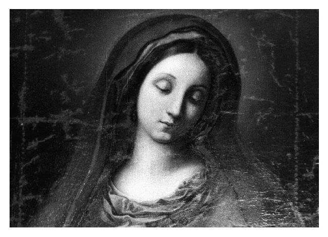 Madonna (dipinto) di Altobello Francesco Antonio (ultimo quarto sec. XVII)