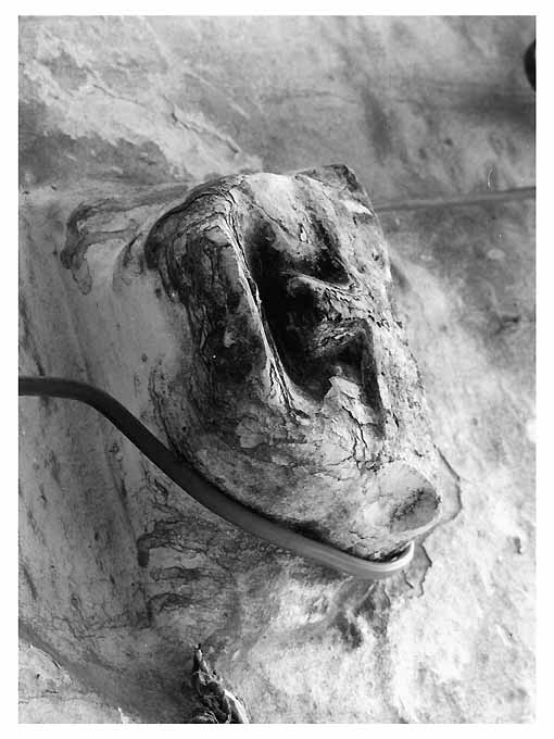 mascherone allegorico (scultura) - ambito bitontino (secc. XV/ XVI)