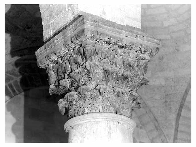 teste umane tra coppie di grifi su foglie di acanto (capitello) - ambito bitontino (sec. XII)