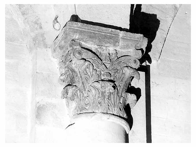 foglie di palma e acanto (capitello) - ambito bitontino (sec. XII)