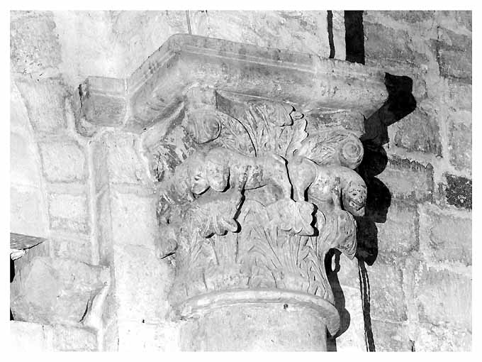 felini su foglie di acanto (capitello) - ambito bitontino (sec. XII)