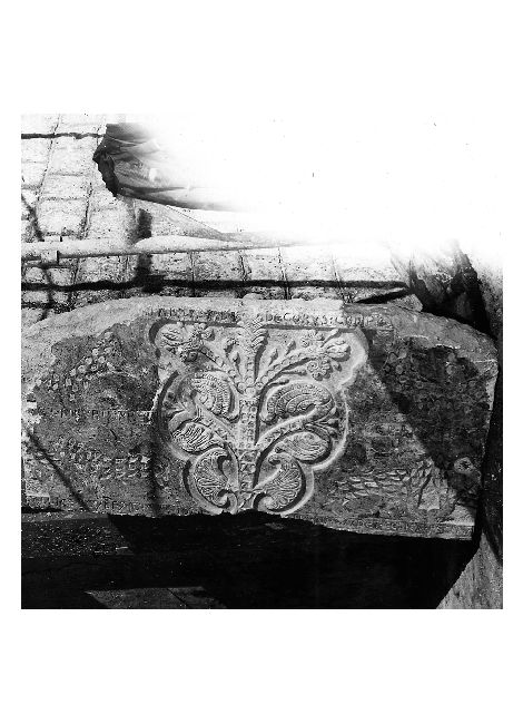 decorazione plastica, frammento di Pollice (secc. XII/ XIII)