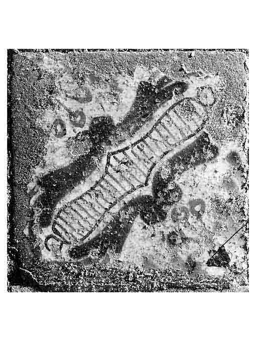 mattonella - ambito pugliese (sec. XIX)