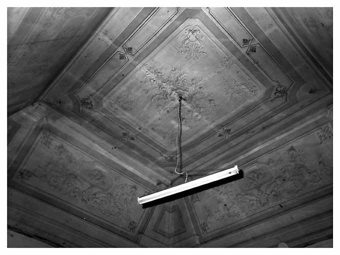 motivi decorativi floreali/ motivi decorativi geometrici (soffitto dipinto) - ambito pugliese (sec. XIX)