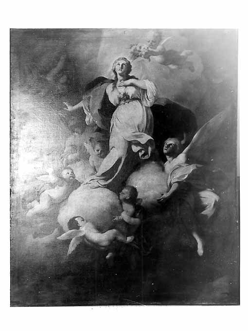assunzione della Madonna (dipinto) di De Falco Paolo (metà sec. XVIII)