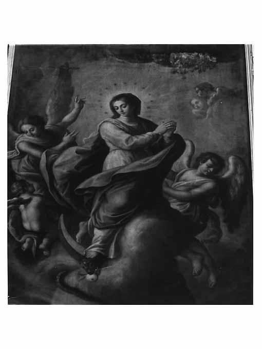Madonna Immacolata (dipinto) di Bianchi Diego Oronzo (sec. XVIII)