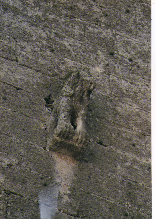 rilievo - ambito pugliese (seconda metà sec. XV)